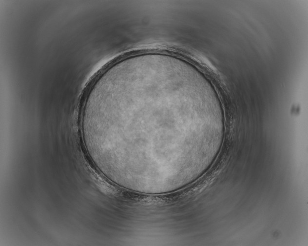 X0000094371216200711301441