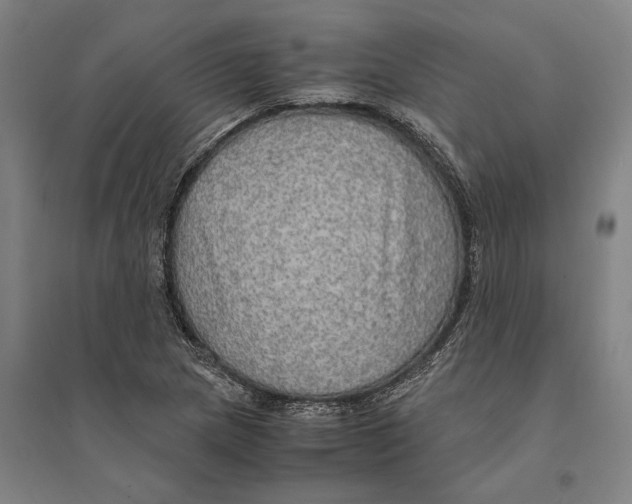 X0000094371217200711301441