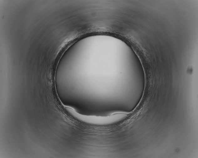 X0000094371218200711301441