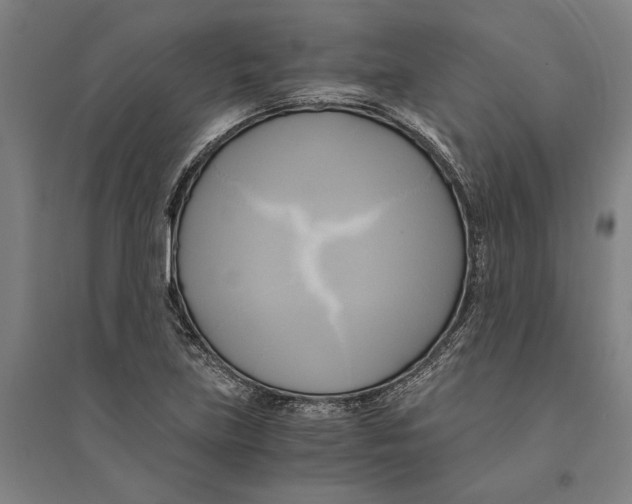 X0000094371219200711301441