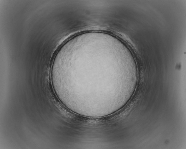 X0000094371220200711301441