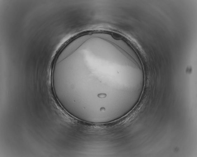 X0000094371224200711301441