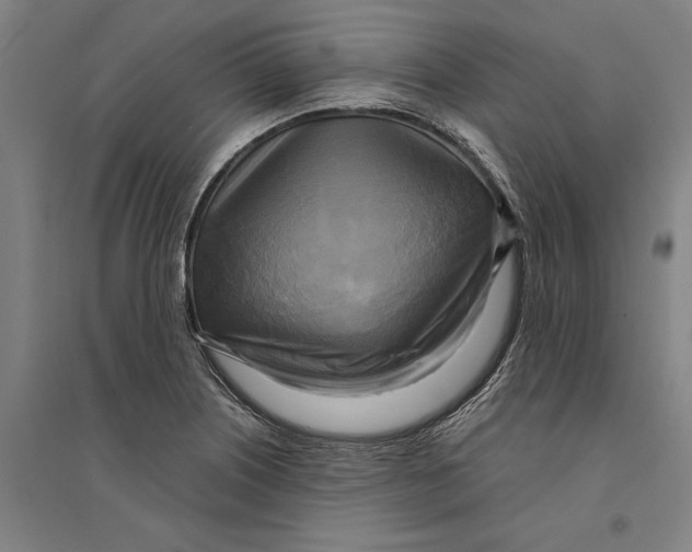 X0000094371226200711301441