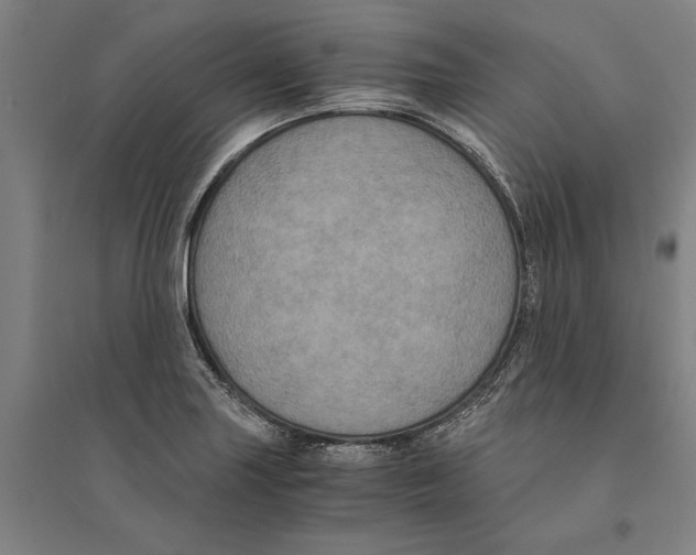 X0000094371227200711301441