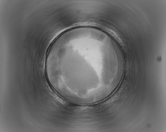 X0000094371228200711301441