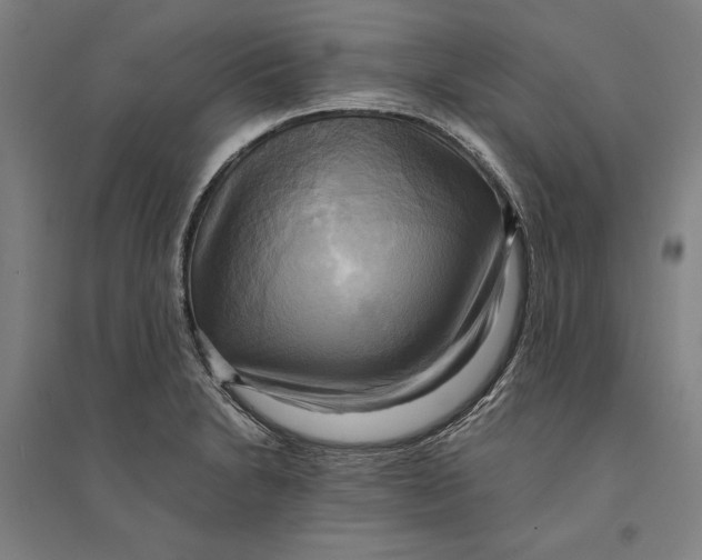 X0000094371230200711301441