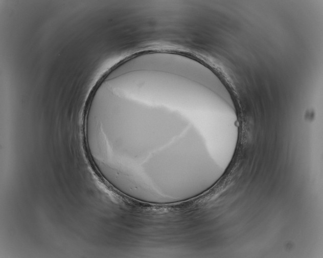 X0000094371231200711301441