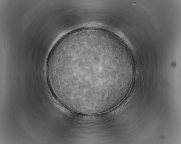 X0000094371232200711301441