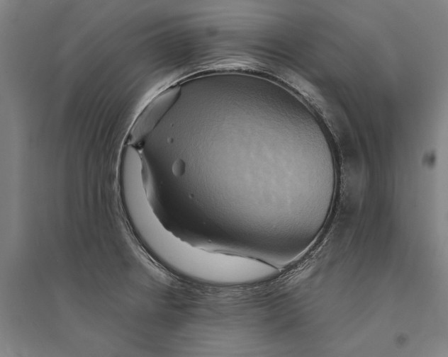 X0000094371234200711301441