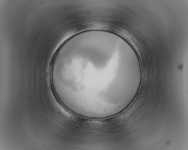 X0000094371235200711301441