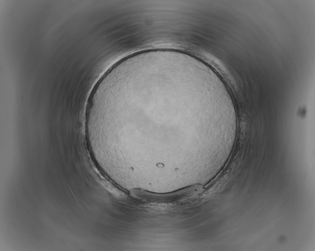 X0000094371236200711301441