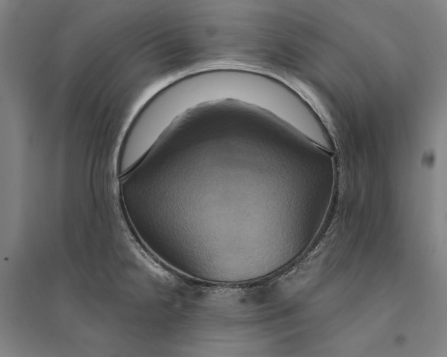 X0000094371238200711301441