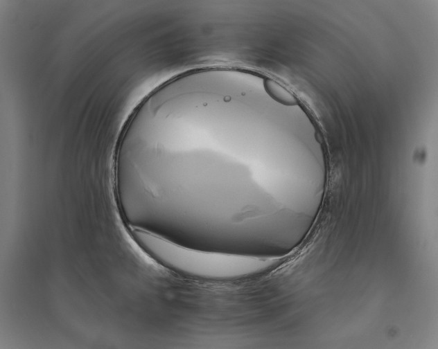 X0000094371239200711301441