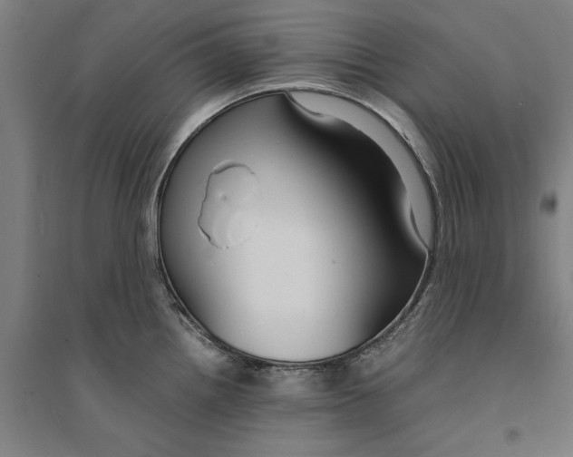 X0000094371242200711301441