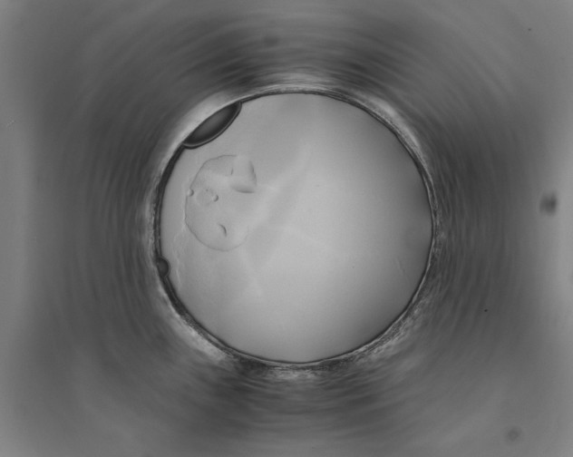 X0000094371243200711301441