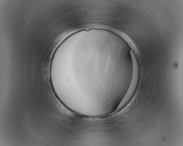 X0000094371244200711301441