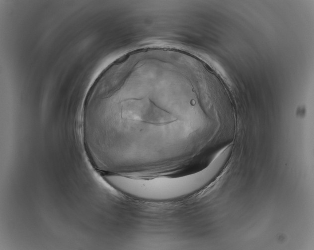 X0000094371247200711301441