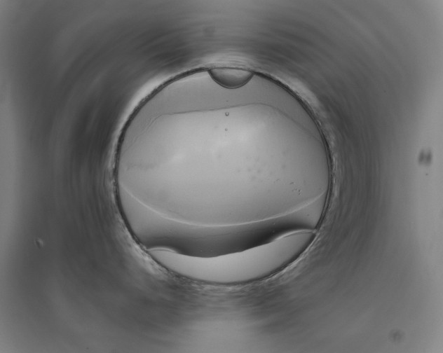 X0000094371248200711301441