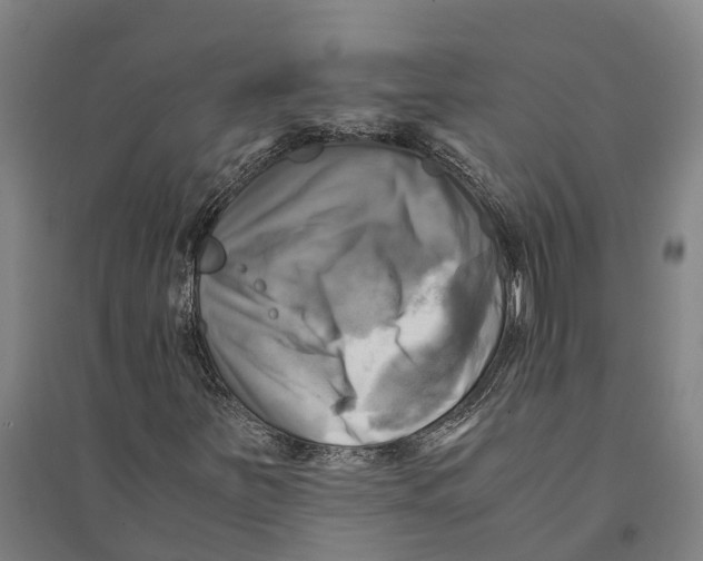 X0000094371251200711301440