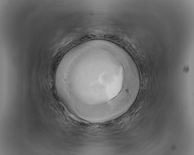 X0000094371253200711301440