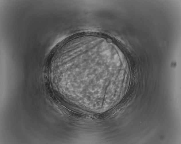 X0000094371255200711301440