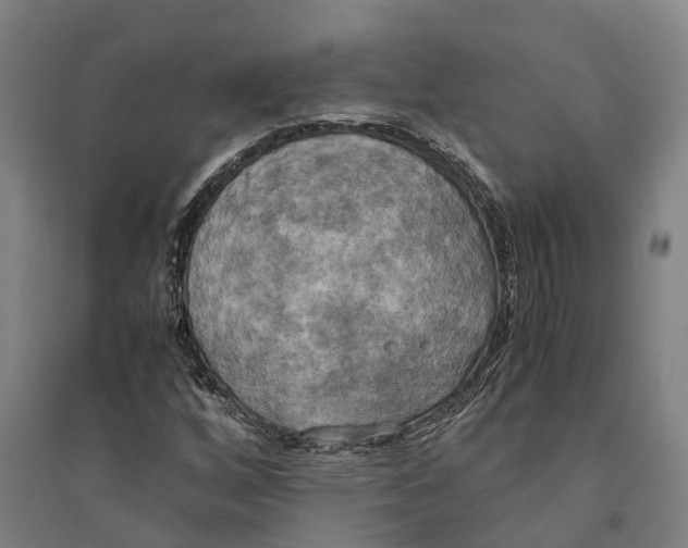 X0000094371256200711301440