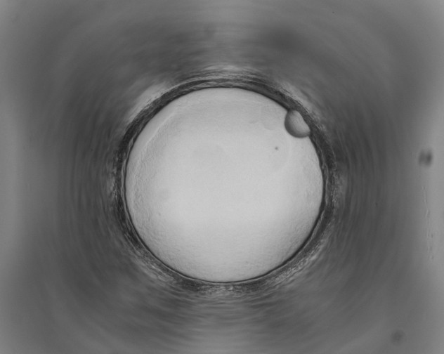 X0000094371259200711301440