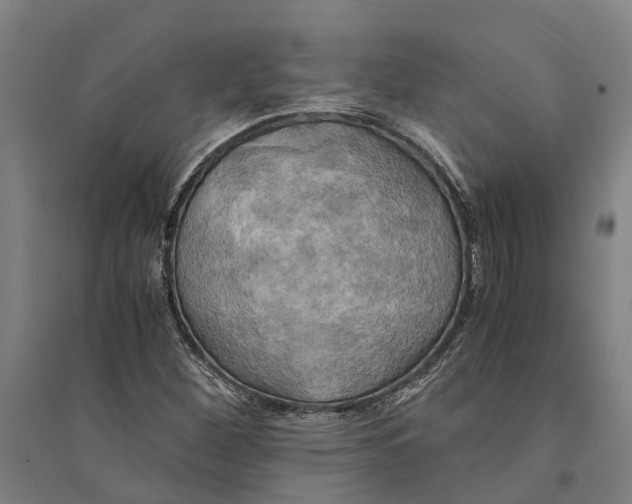 X0000094371260200711301440