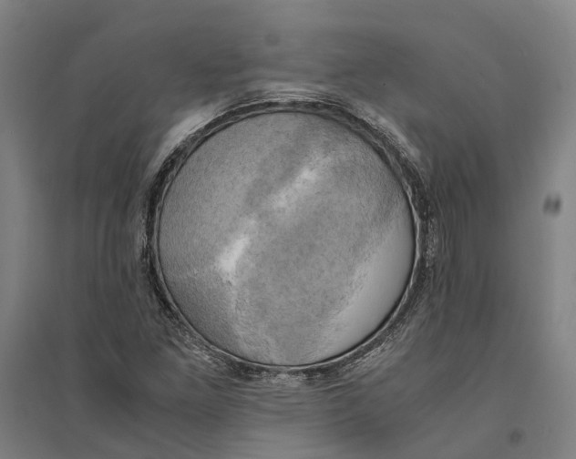 X0000094371261200711301440