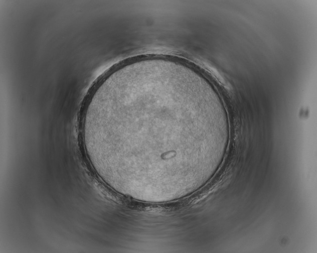 X0000094371264200711301440