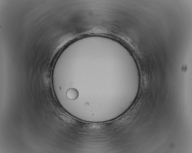 X0000094371266200711301440