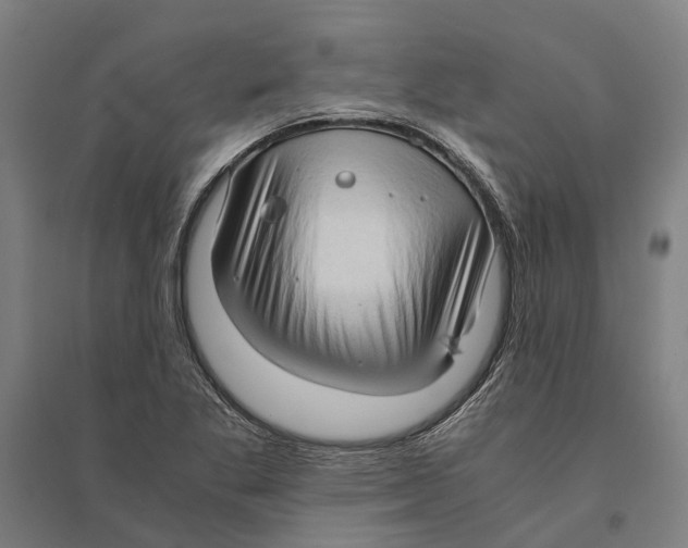 X0000094371269200711301440