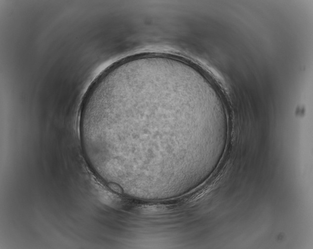 X0000094371272200711301440