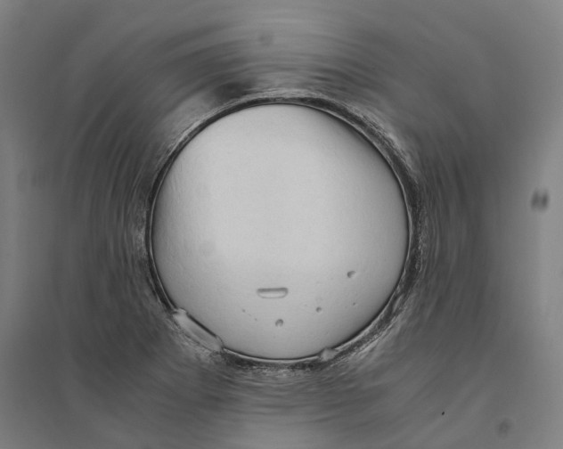 X0000094371273200711301440