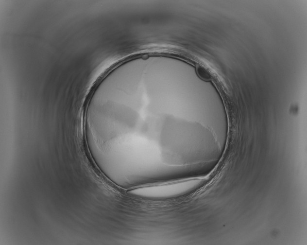 X0000094371275200711301440