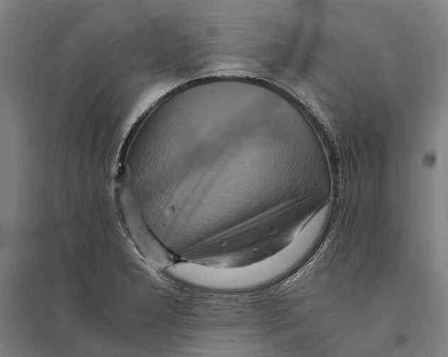 X0000094371277200711301440