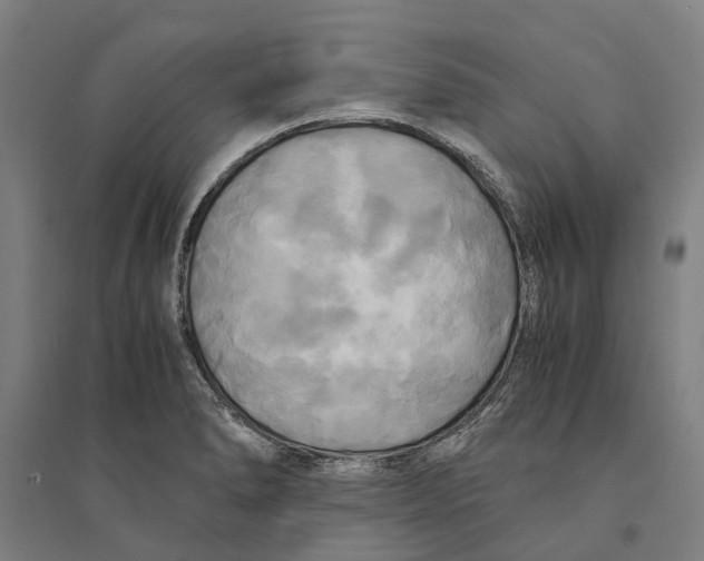 X0000094371278200711301440