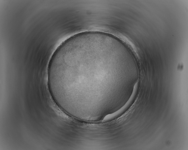 X0000094371280200711301440