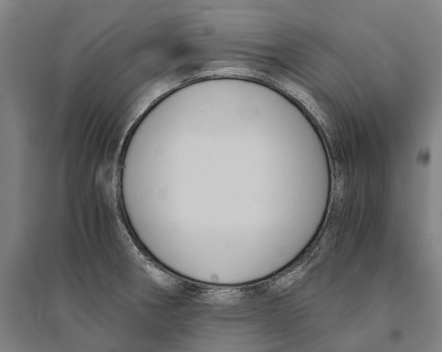 X0000094371282200711301440