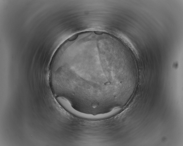 X0000094371284200711301440