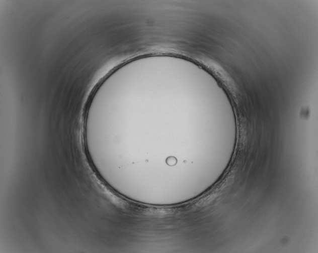 X0000094371286200711301440