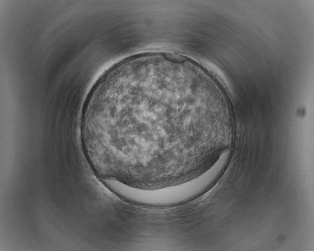 X0000094371288200711301440