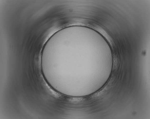 X0000094371290200711301440