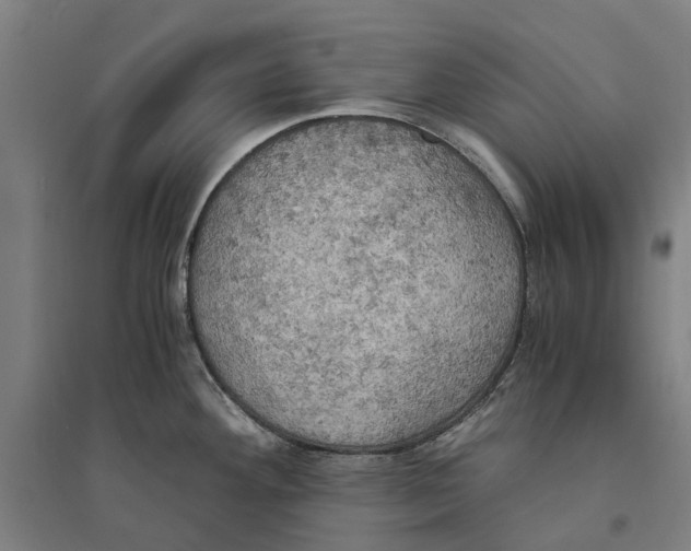 X0000094371292200711301440