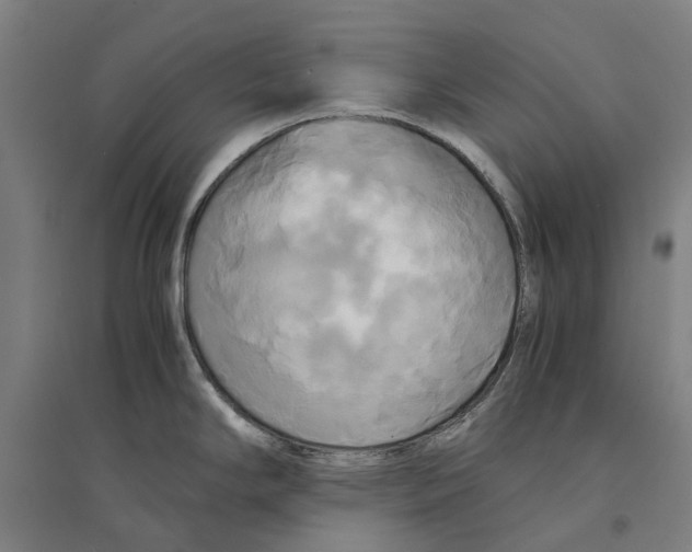 X0000094371294200711301440