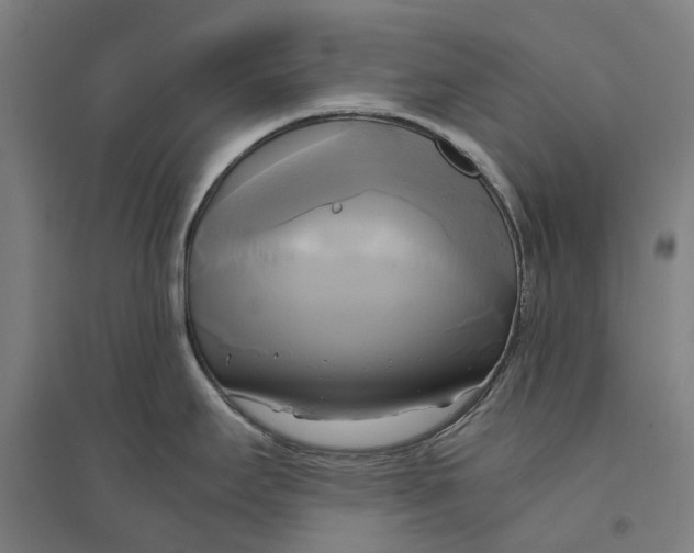 X0000094371295200711301440