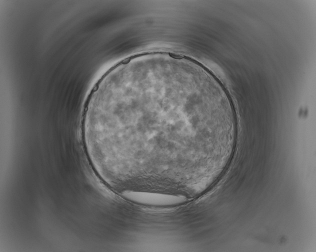 X0000094371296200711301440