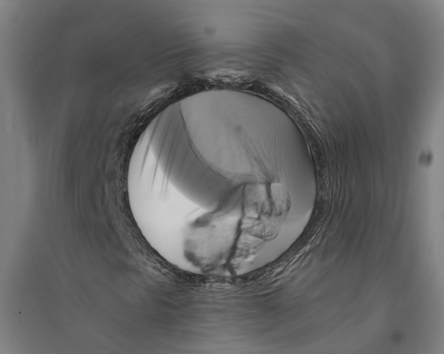 X0000094371297200711301439