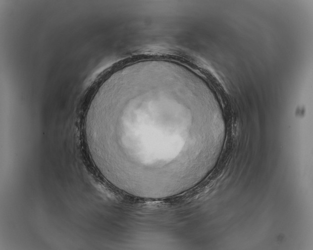 X0000094371304200711301439