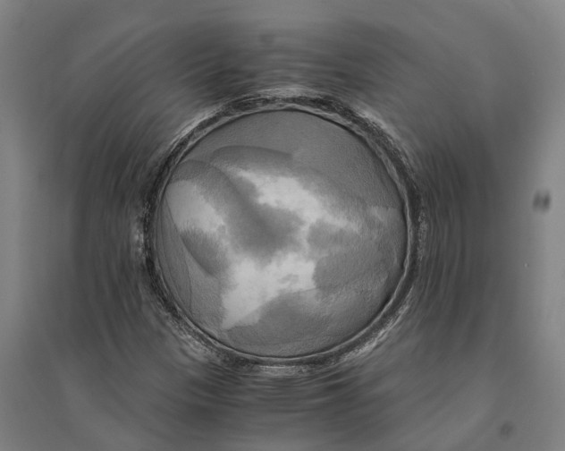 X0000094371305200711301439